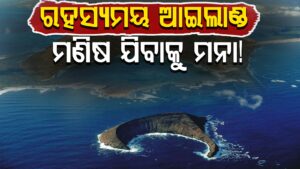 WhatsApp Image 2025-05-19 at 12.26.00 PM