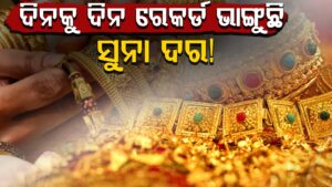 WhatsApp Image 2025-05-19 at 3.07.03 PM