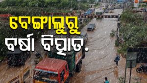 WhatsApp Image 2025-05-20 at 11.22.27 AM