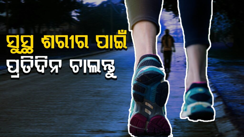 WhatsApp Image 2025-05-20 at 2.06.50 PM
