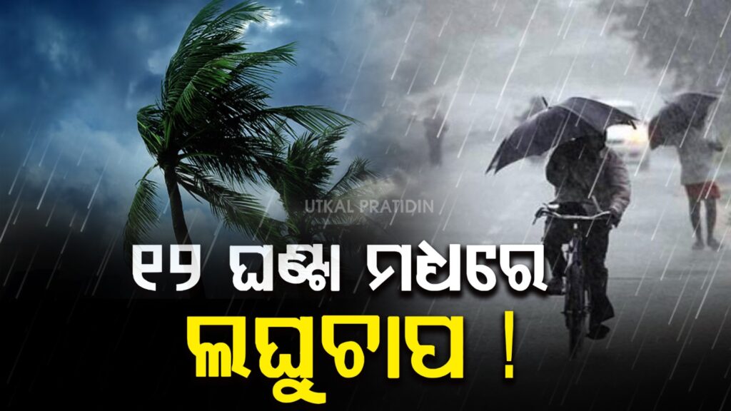 WhatsApp Image 2025-05-21 at 11.04.34 AM