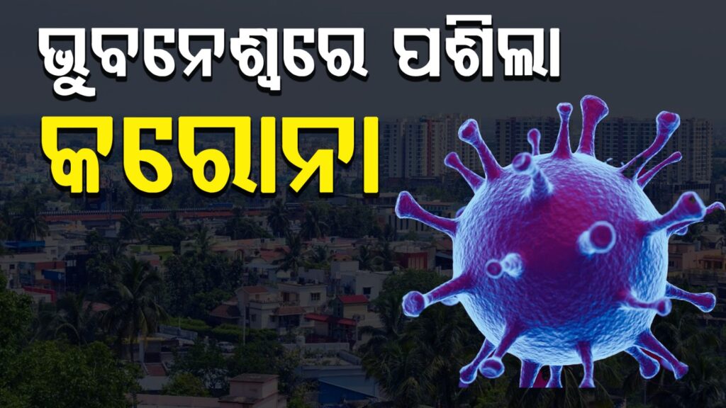 WhatsApp Image 2025-05-22 at 12.02.08 PM