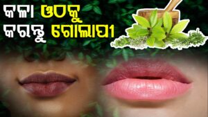 WhatsApp Image 2025-05-22 at 3.48.24 PM