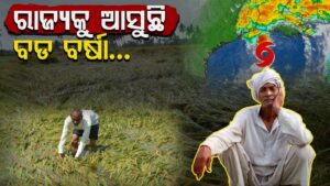 WhatsApp Image 2025-05-23 at 12.24.28 PM