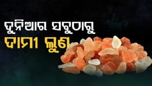 WhatsApp Image 2025-05-27 at 5.08.36 PM