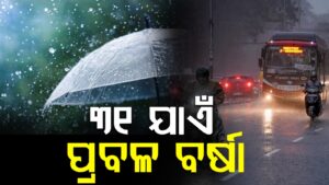 WhatsApp Image 2025-05-28 at 11.00.05 AM