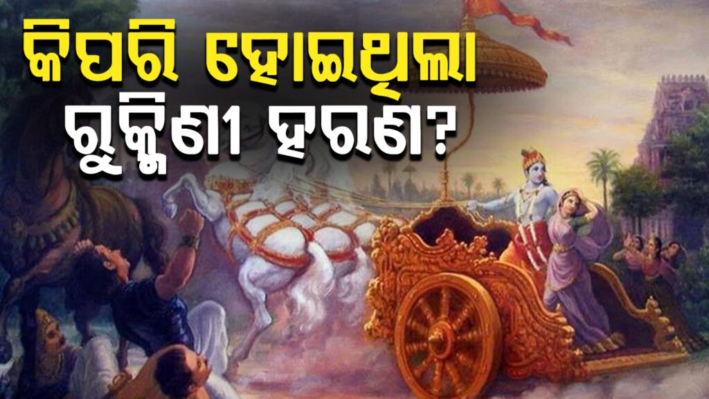 WhatsApp Image 2025-05-29 at 1.35.38 PM