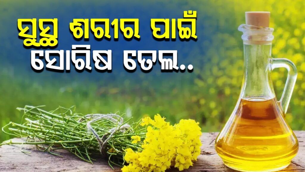 WhatsApp Image 2025-05-30 at 1.01.14 PM